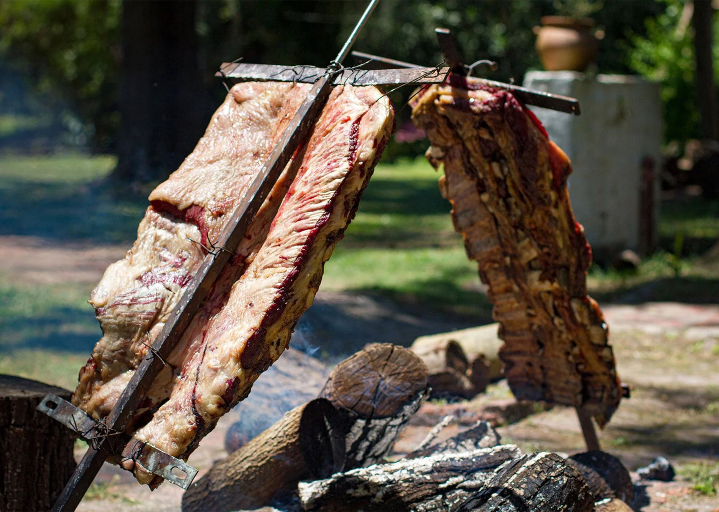 Black Angus Short Ribs Plate 7 Bones